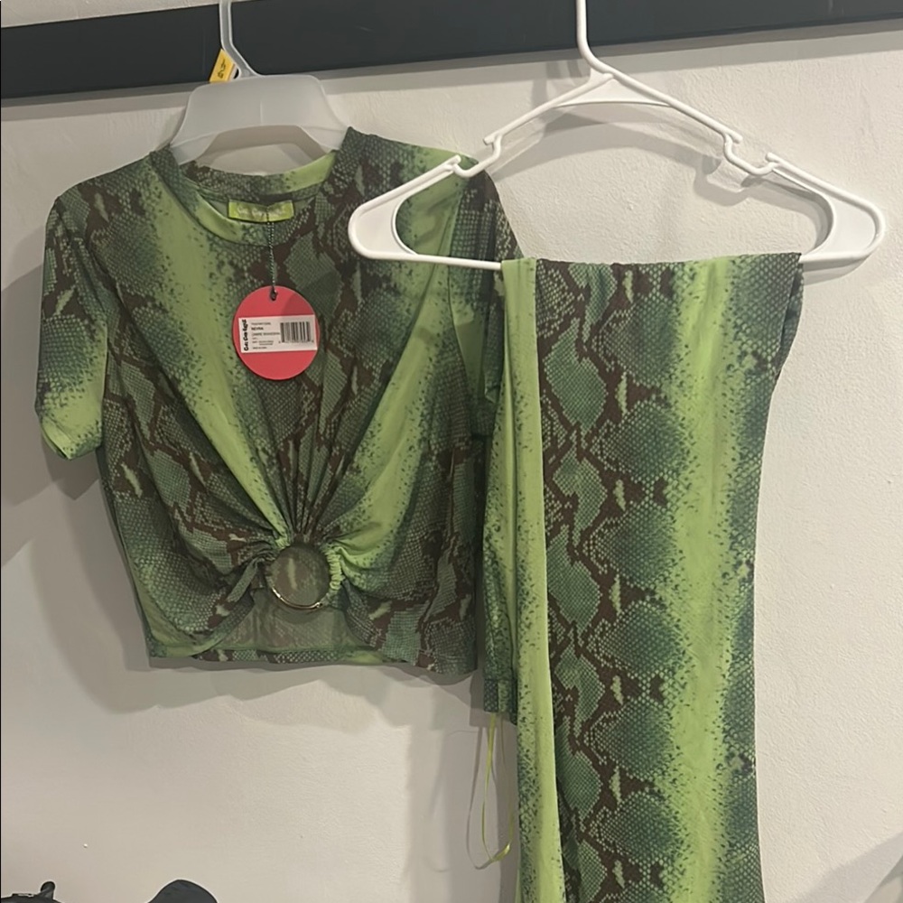 Green Snake Print Top and pants Set